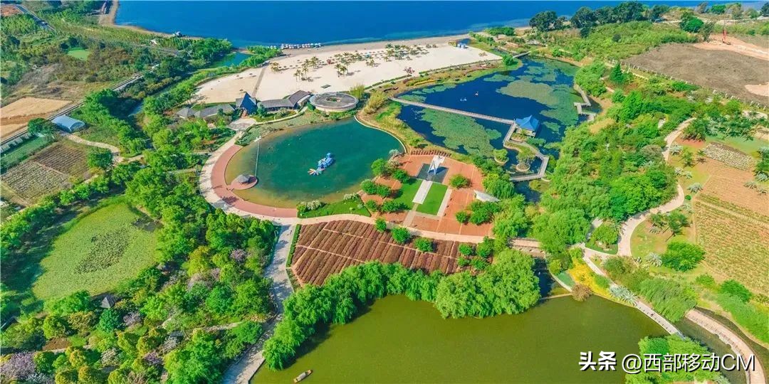 云南玉溪山水旅游景点推荐,澄江旅游攻略一日游最新