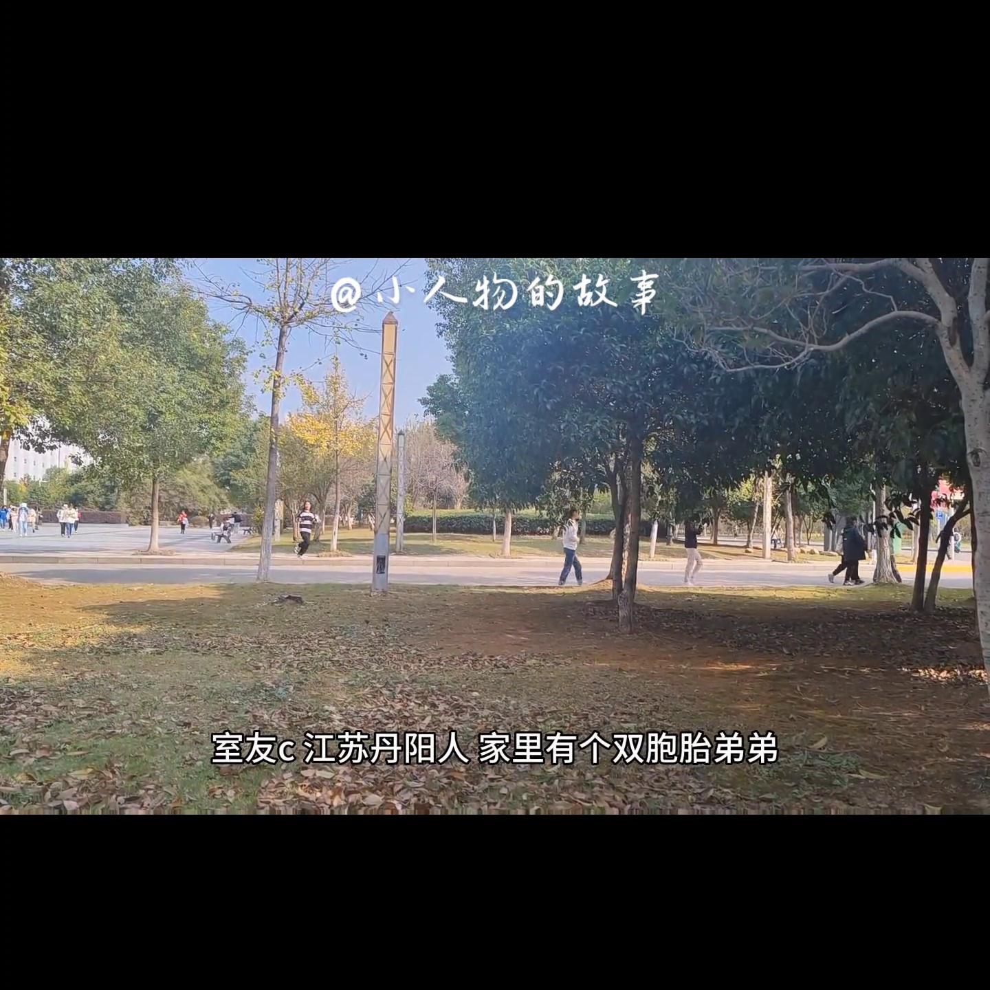 高考志愿填报信息安全专业,二本信息管理与信息系统专业就业