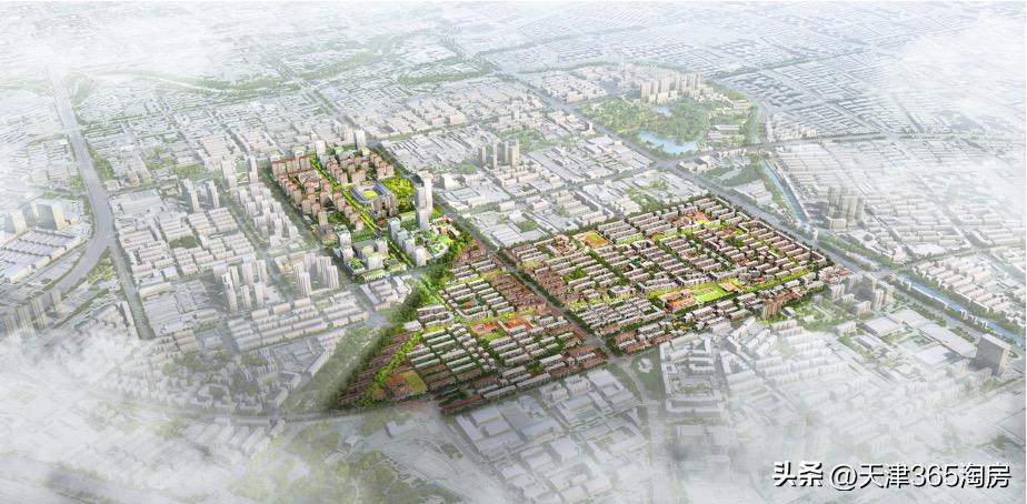 给钱给政策,南开突然站上C位!