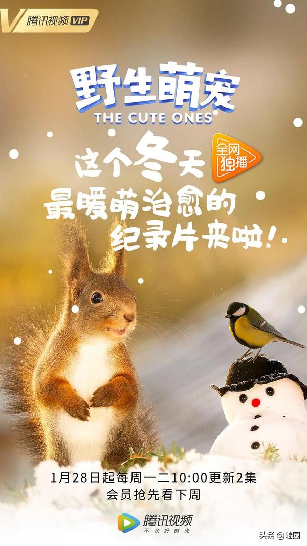 亲子互动纪录片大全,适合儿童看的自然界纪录片