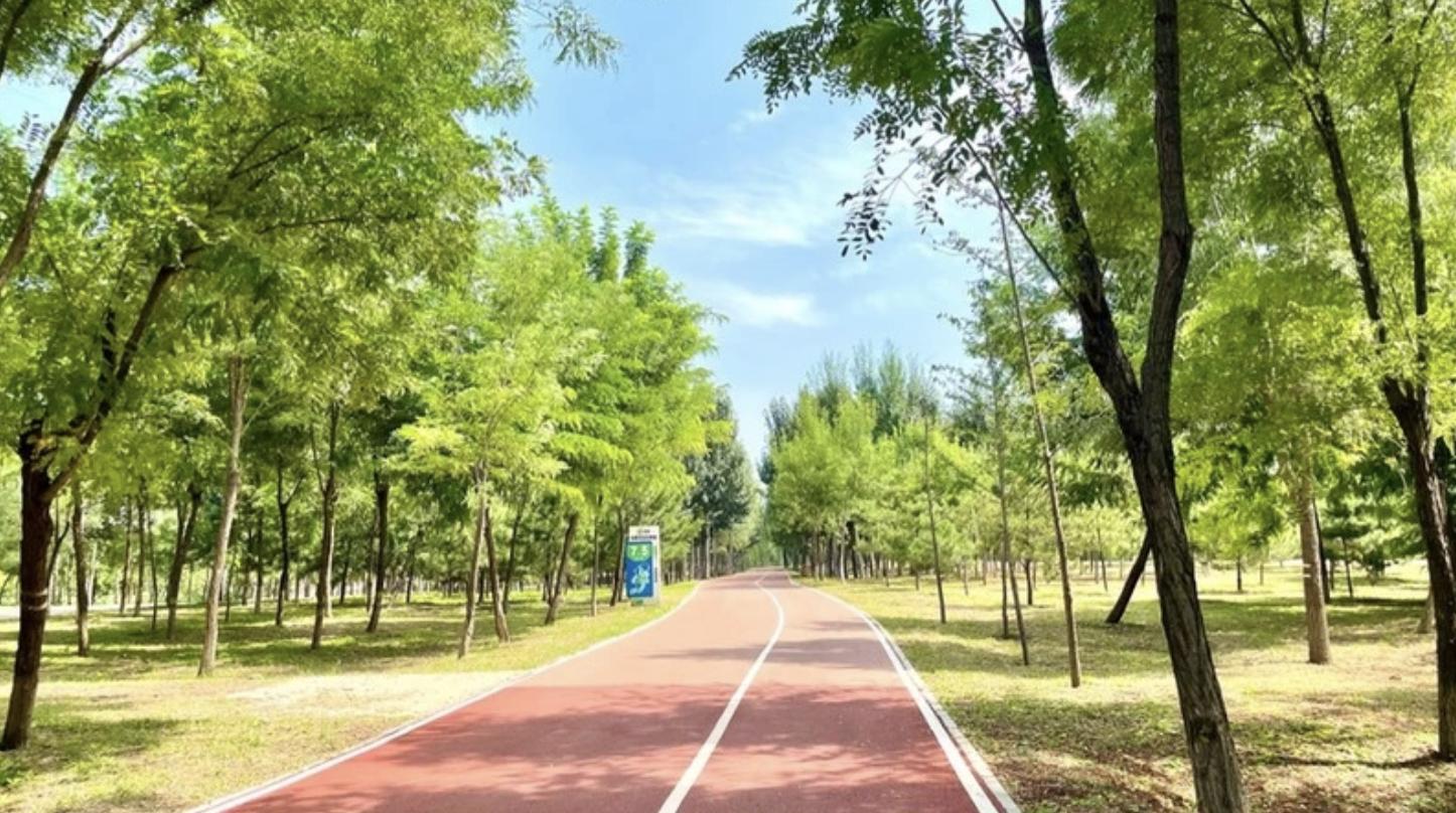 北京马拉松排名前十名,北京半程马拉松比赛即将举行