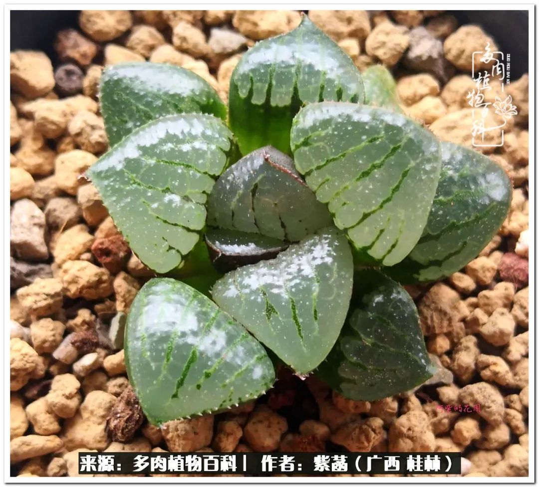 酷暑里的关爱，如十二卷般透亮绵长