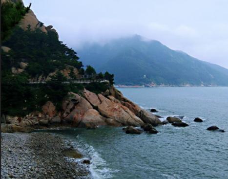 2017年男子捡一“熊猫奇石”,价值百万以上的熊猫奇石