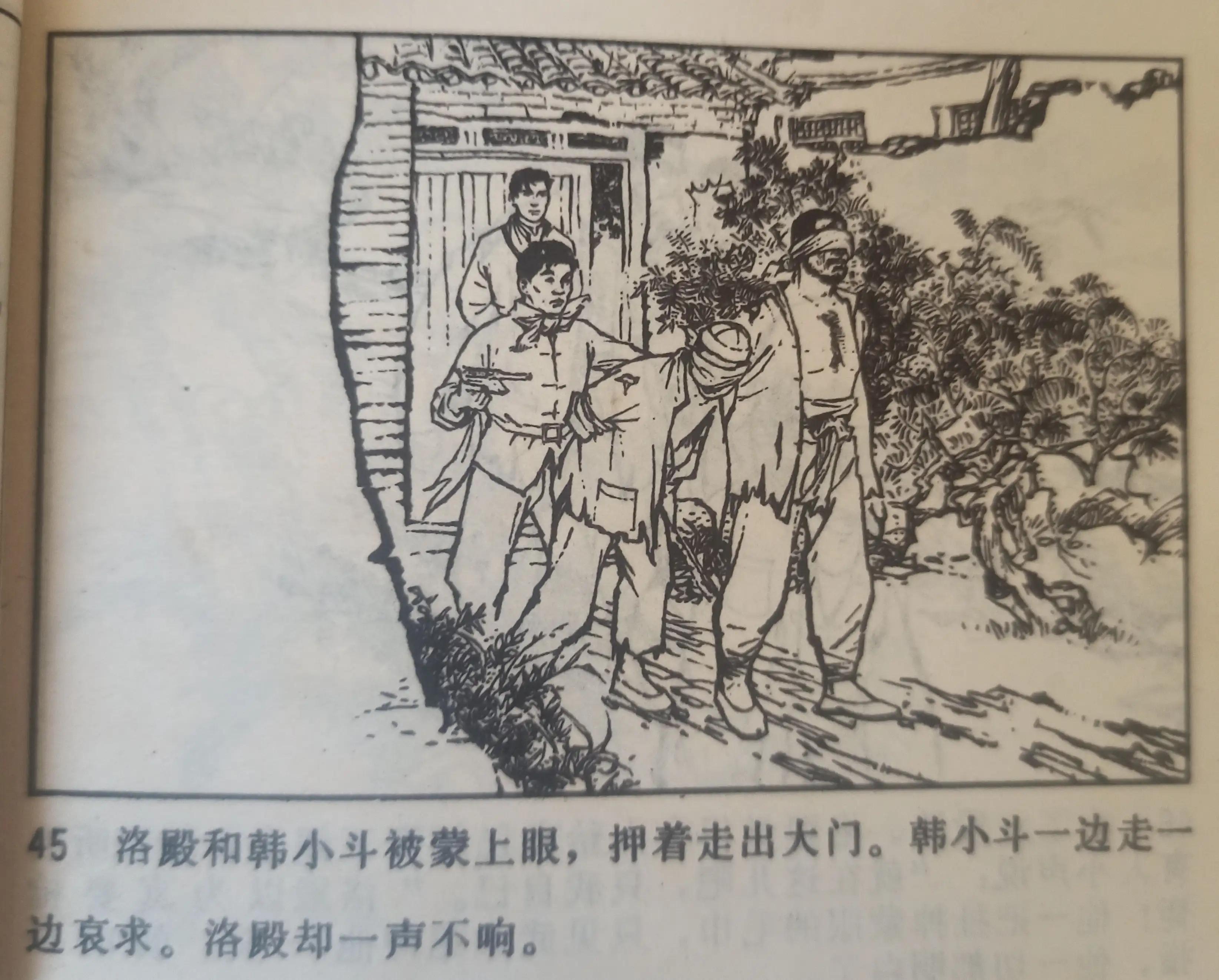 连环画战斗的青春全集,连环画青春的画面
