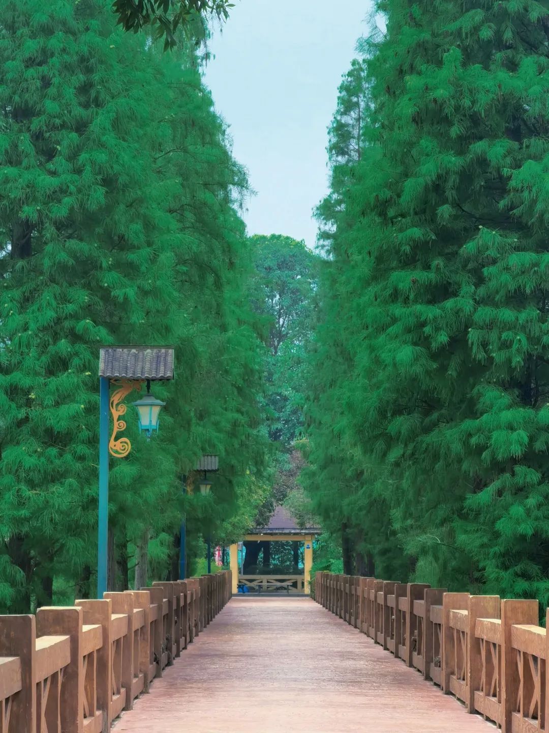 春暖花开运动好时节,春暖花开该开始运动了