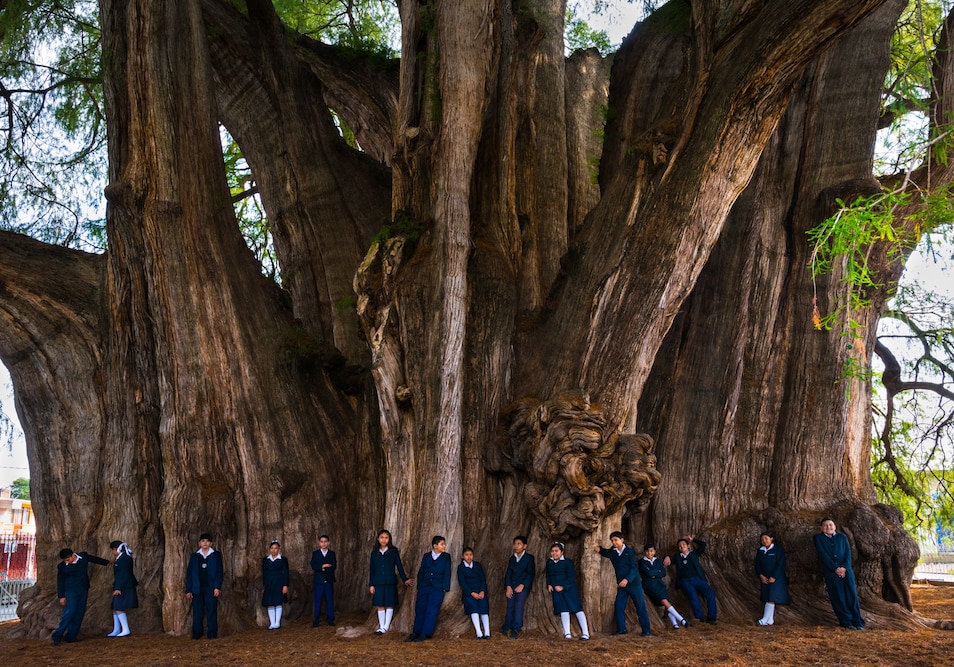 世界十大必看的自然景观,世界最震撼的二十个自然奇观