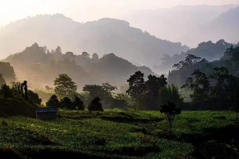 投资理财机会在哪里,投资理财怎么入门第一年才能赚钱
