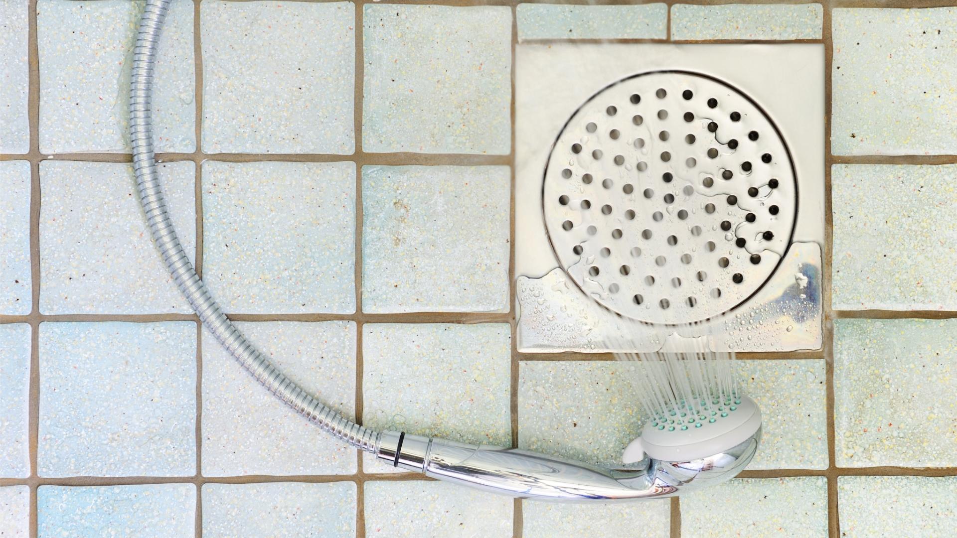 洗手间夏天有小虫子怎么办,夏天卫生间的小黑虫怎么处理