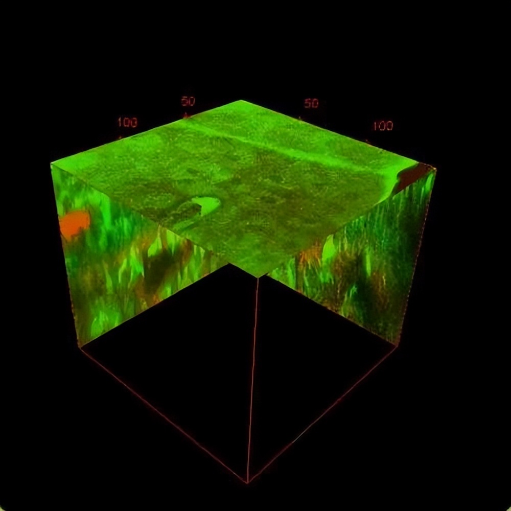 当时“全世界都不看好”，如今他们实现了多个首次！