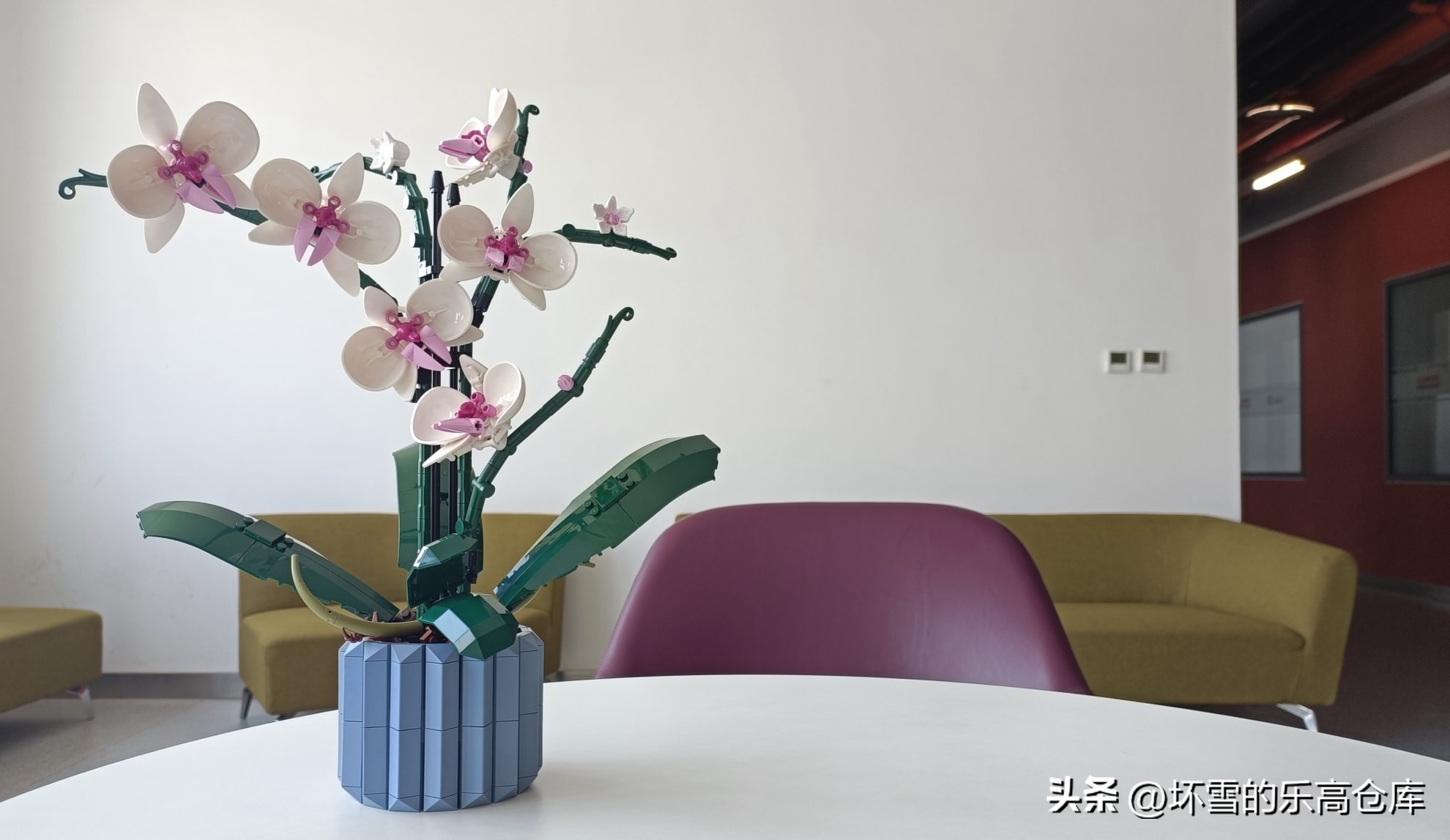 乐高兰花图片及价格,乐高兰花测评