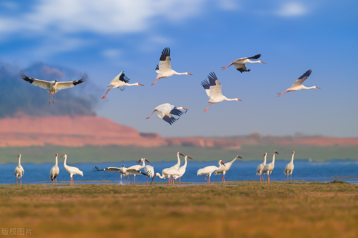 如何生个优质孩子,生个娃也一定很优秀
