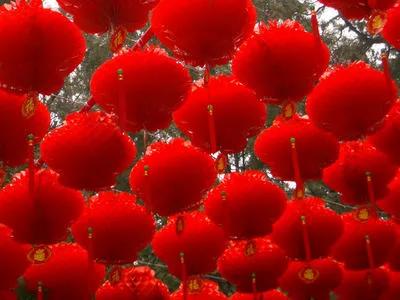 分享一眼惊艳的图片,分享一个绝美图片