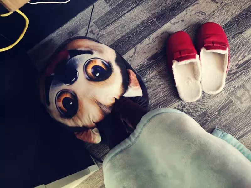 这11件过冬必备神器所有人都需要,欧洲人买什么东西