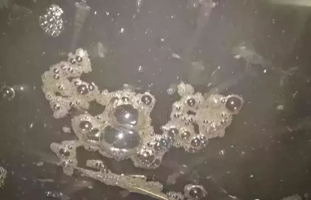 姘翠骇鍏绘畺鍒嗗瓙姘ㄥ拰绂诲瓙姘ㄧ殑鍖哄埆,璁よ瘑姘翠骇鍏绘畺