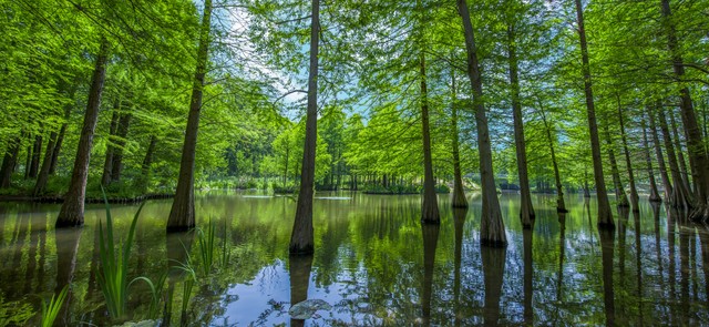 夏天的城市多一丝清凉吧,夏日清凉的城市