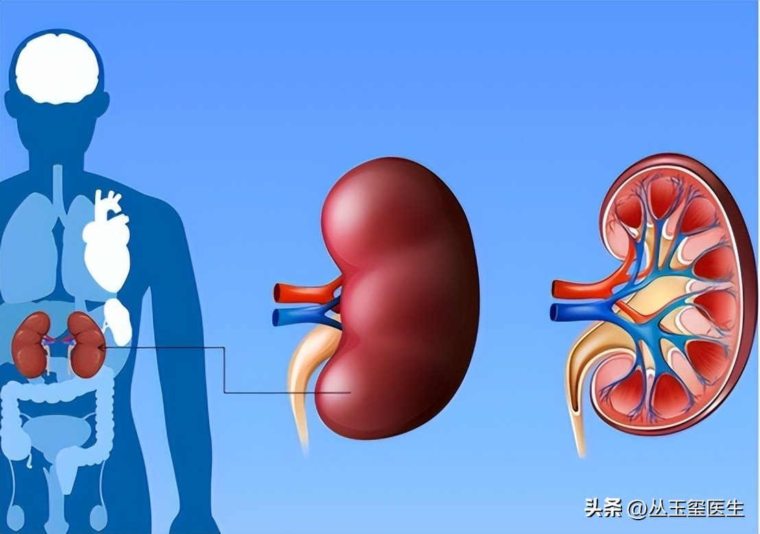 心血管疾病尿毒症,尿毒症最常见的心血管表现
