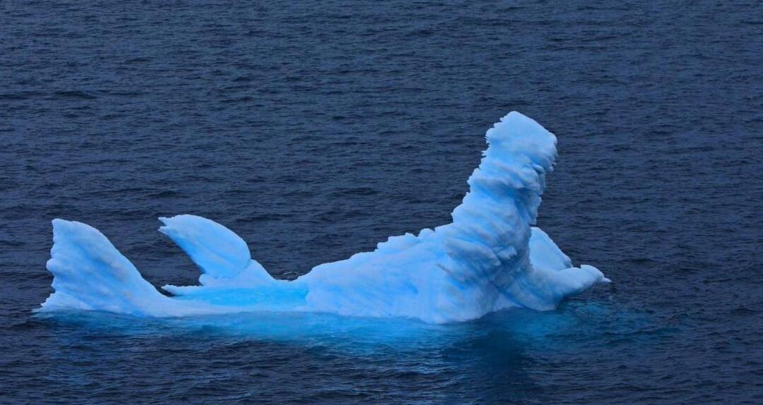 渔民一网捞1500多斤大黄鱼,渔民捞满一网鱼视频