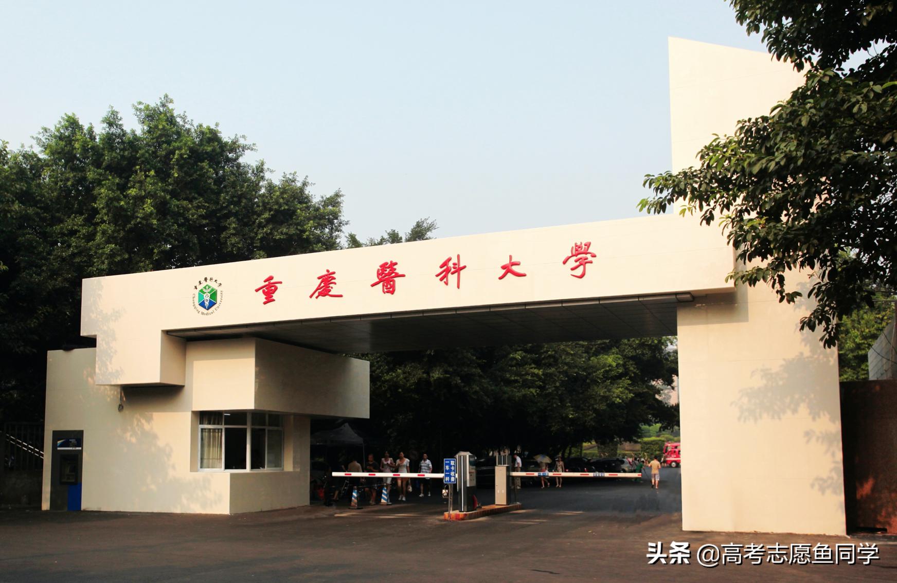 就业率高工资高的211大学,工资待遇高的211大学排名