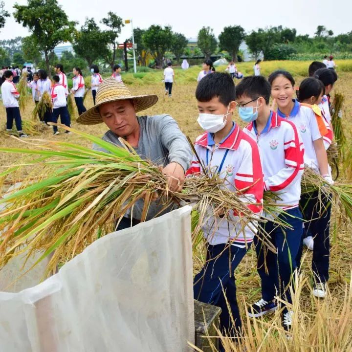 麻涌国庆游玩好去处,麻涌周末去哪玩