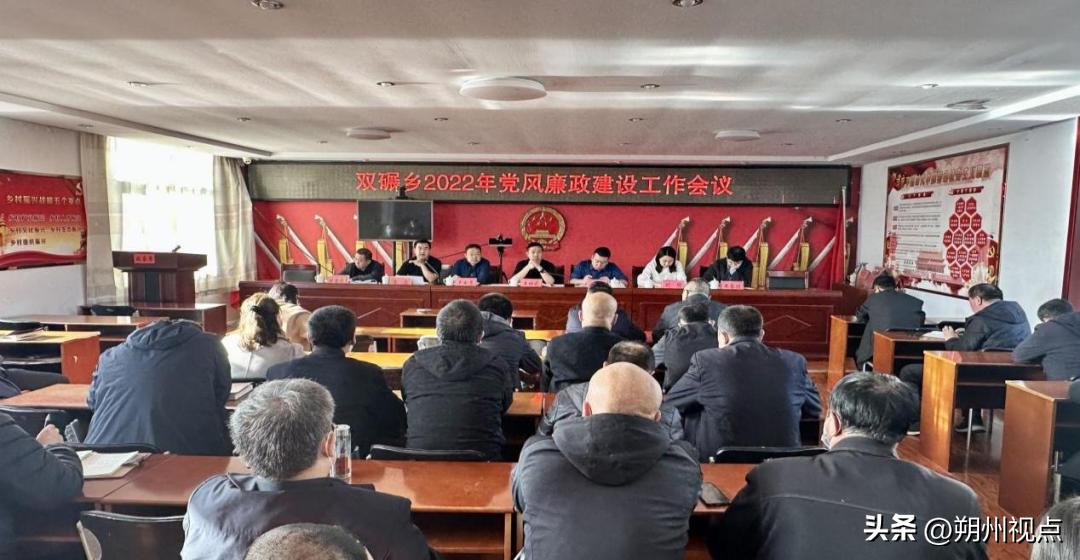 朔州市平鲁区双碾乡:聚焦“四化”目标提升*党**建引领基层治理效能