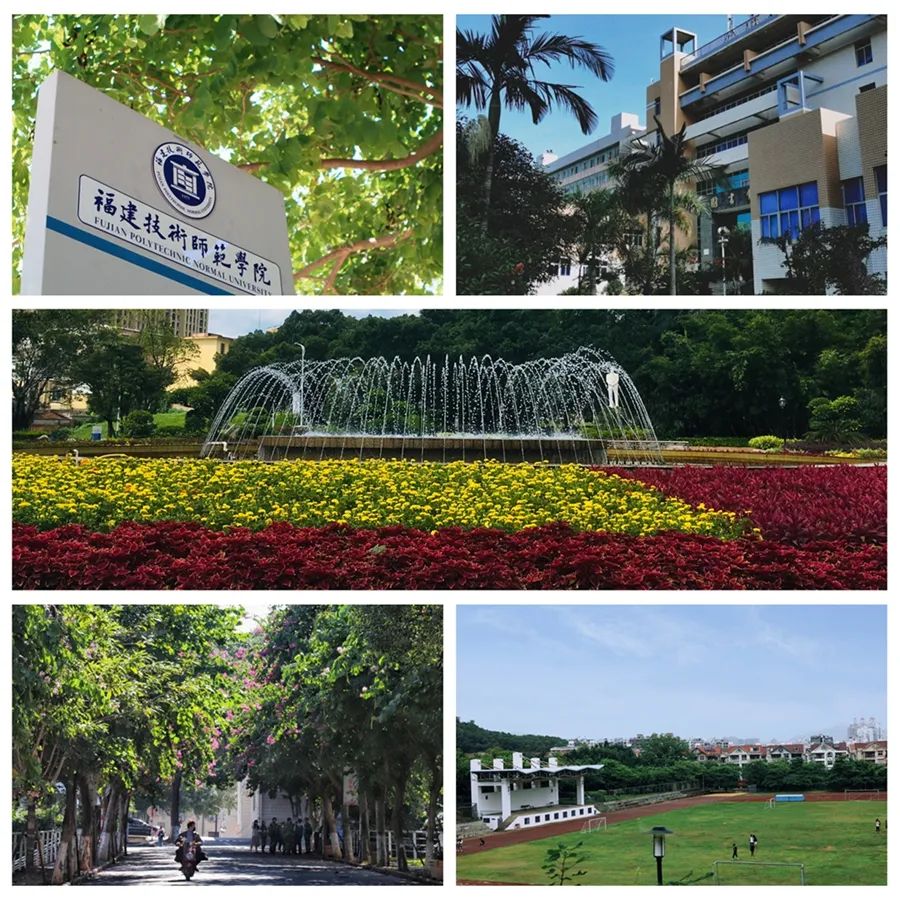 福建专科最好的三所大学,福建好的专科大学