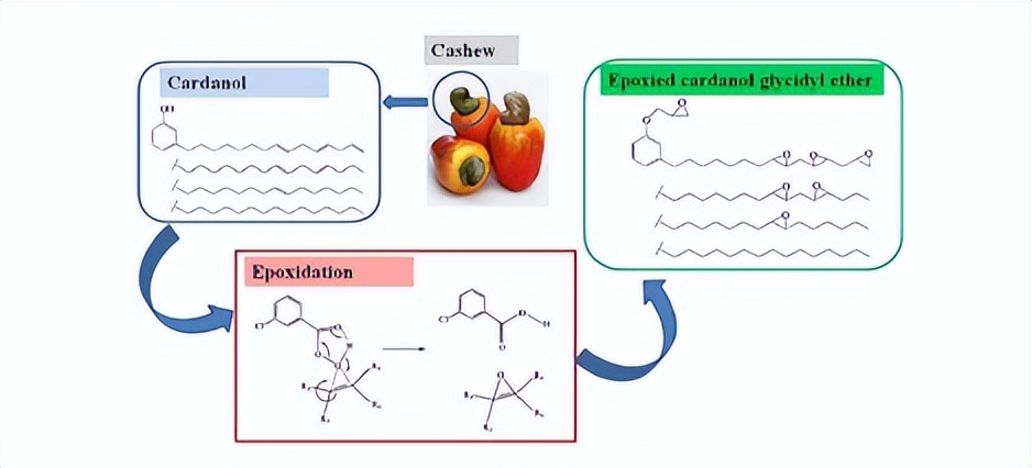 腰果酚型环氧固化剂,腰果酚固化剂的优缺点