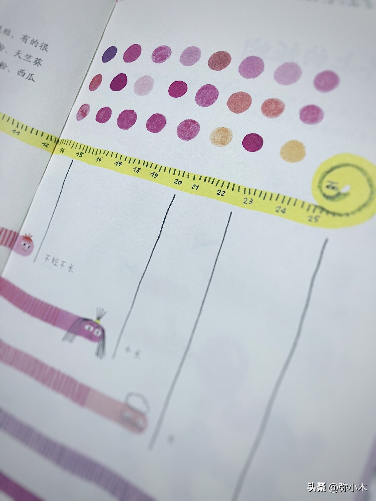 小朋友对蚯蚓的了解,蚯蚓带给孩子的乐趣