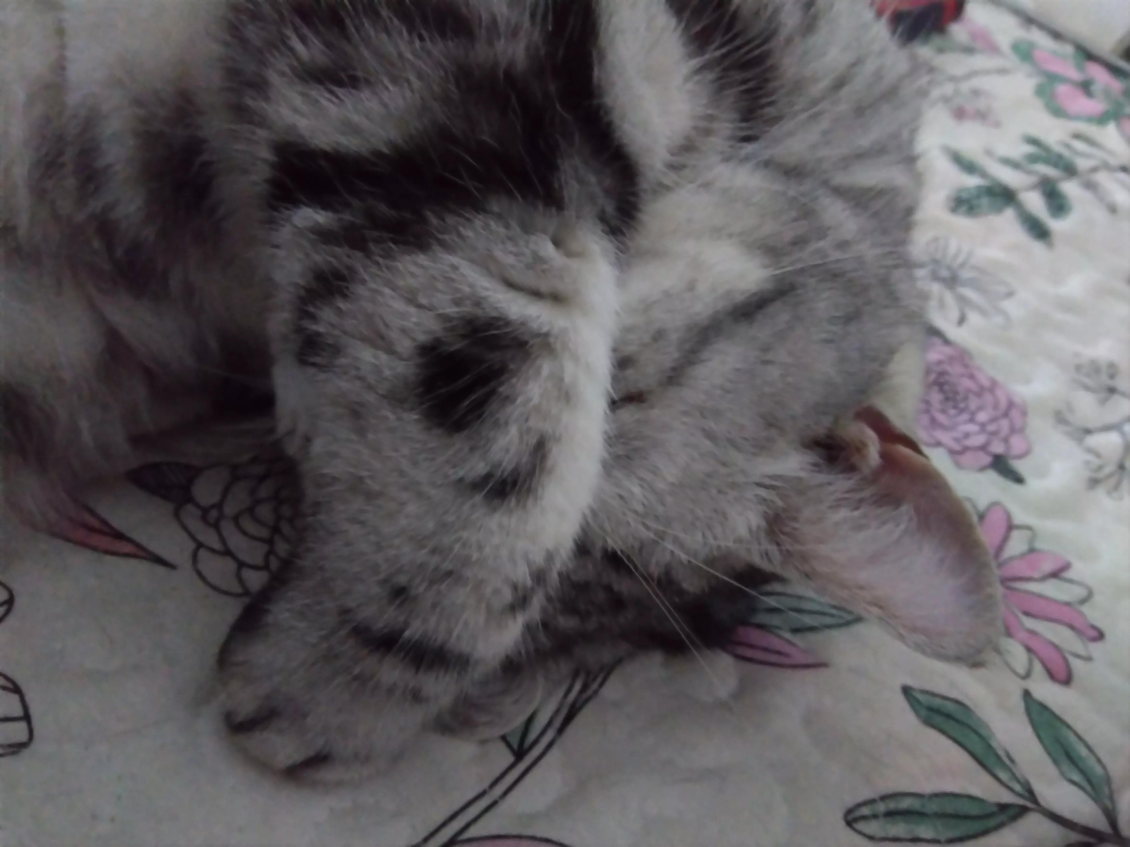 第一视角体验c919,从时间轴看C919