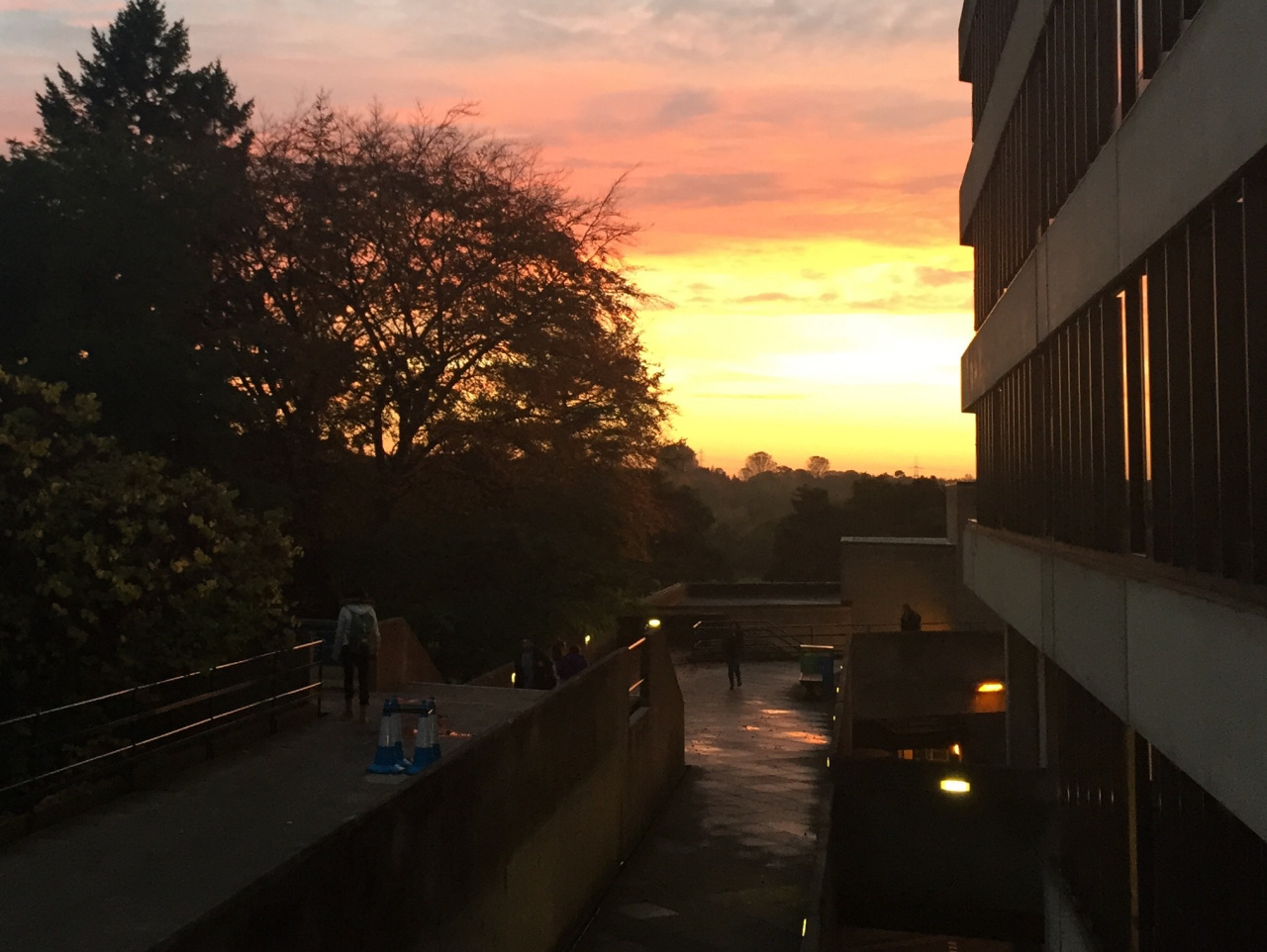 东英吉利大学属于什么档次,东英吉利大学专业