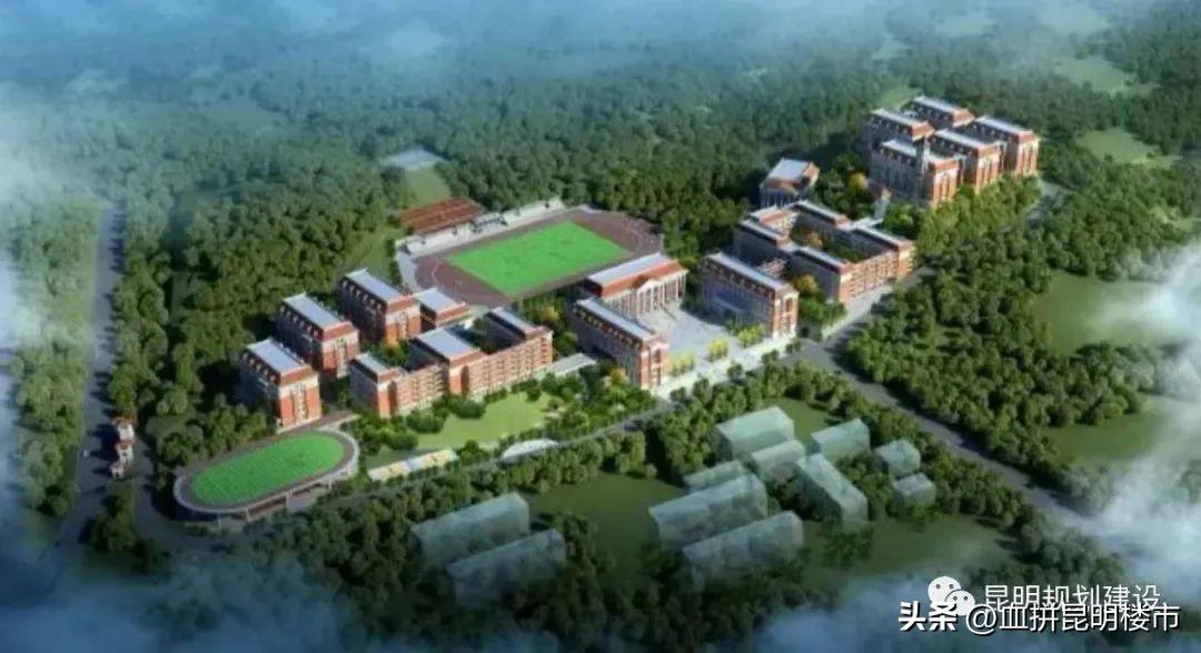 从小学到初中再到高中毕业,从小学到初中高中大学一路走来