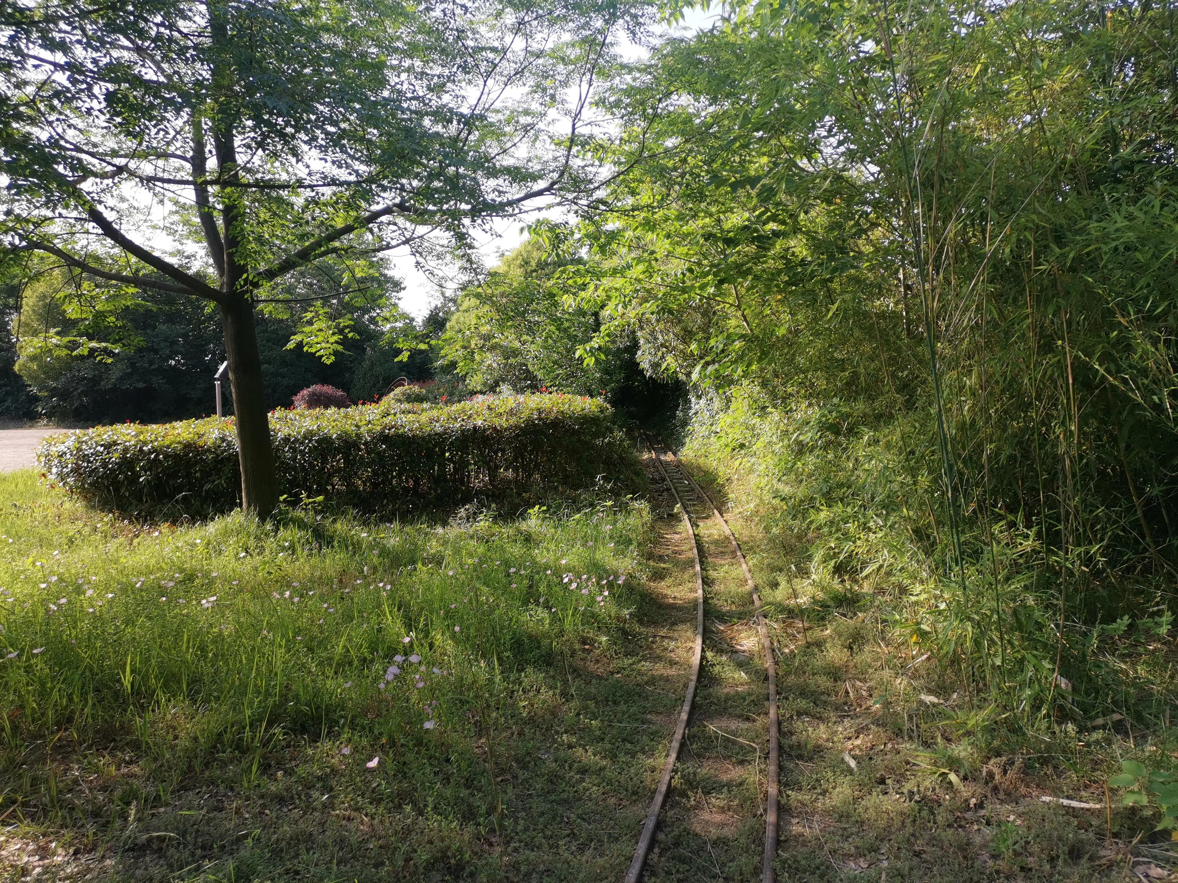 冶山矿时光凝固，冶山镇半身僵直—*合六**、天长冶山镇乱走（中）