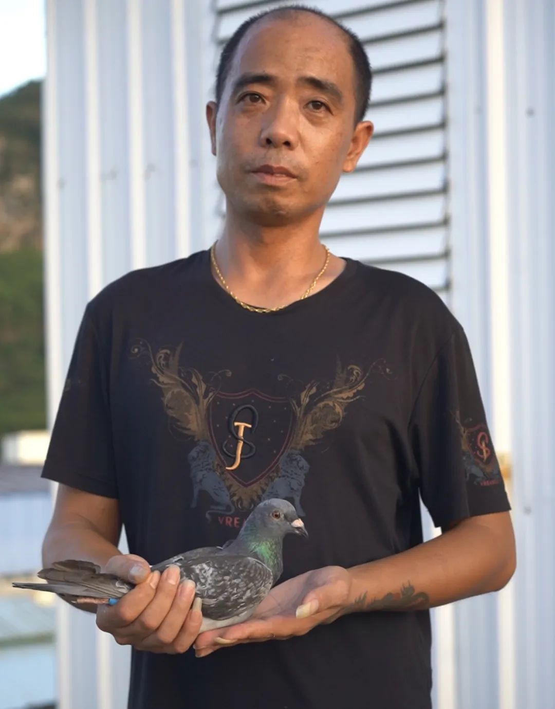 陋棚一样可以飞出“飞龙荣耀杯”13760羽总冠军，王志杭夺得亚军