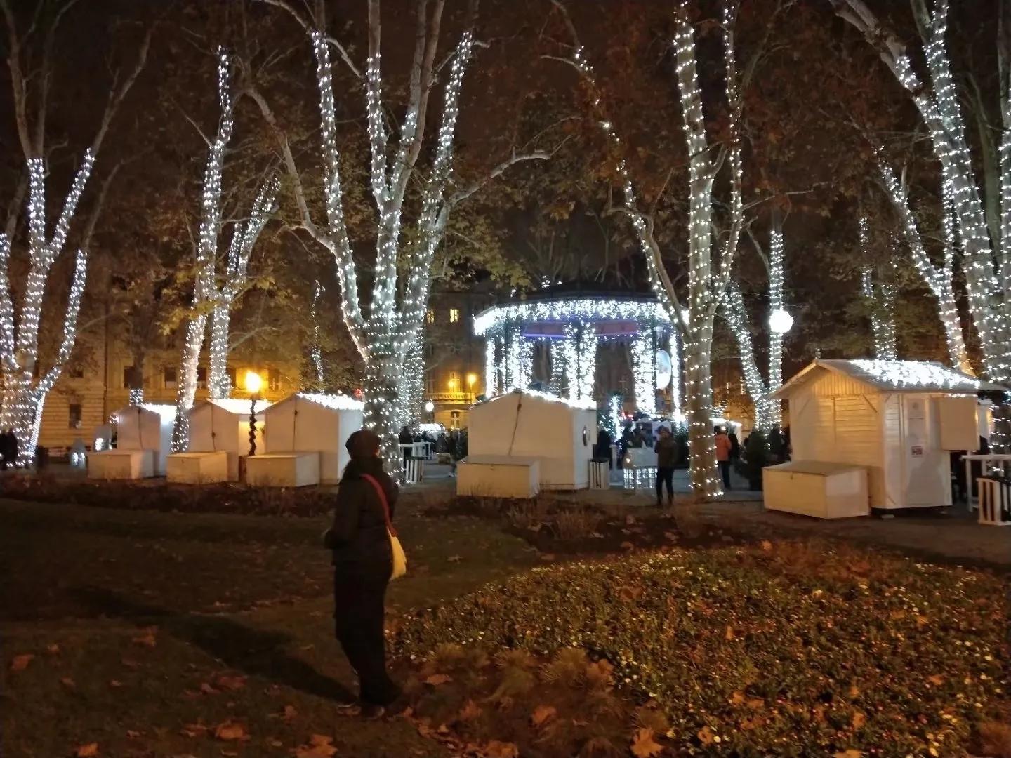 克罗地亚队什么时候去的青秀山,克罗地亚队在哪