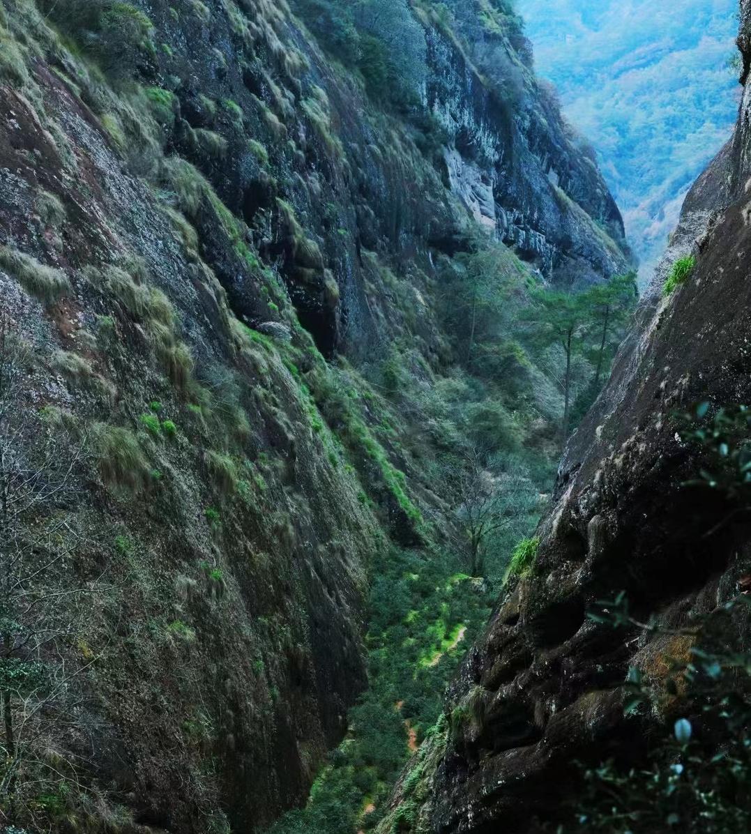 武夷岩茶正岩山场土质怎么样,山场正岩