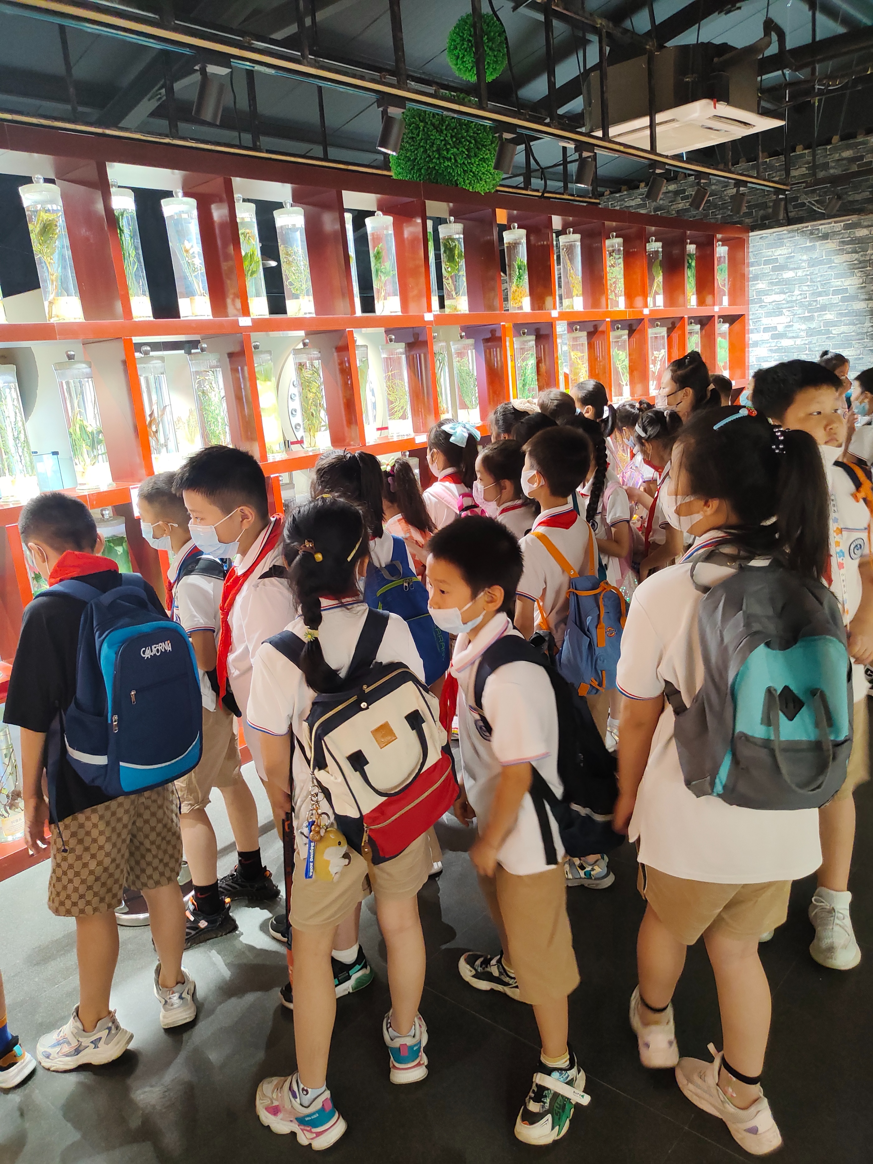 郑州带孩子一日游旅游攻略,郑州一日游旅游攻略带孩子