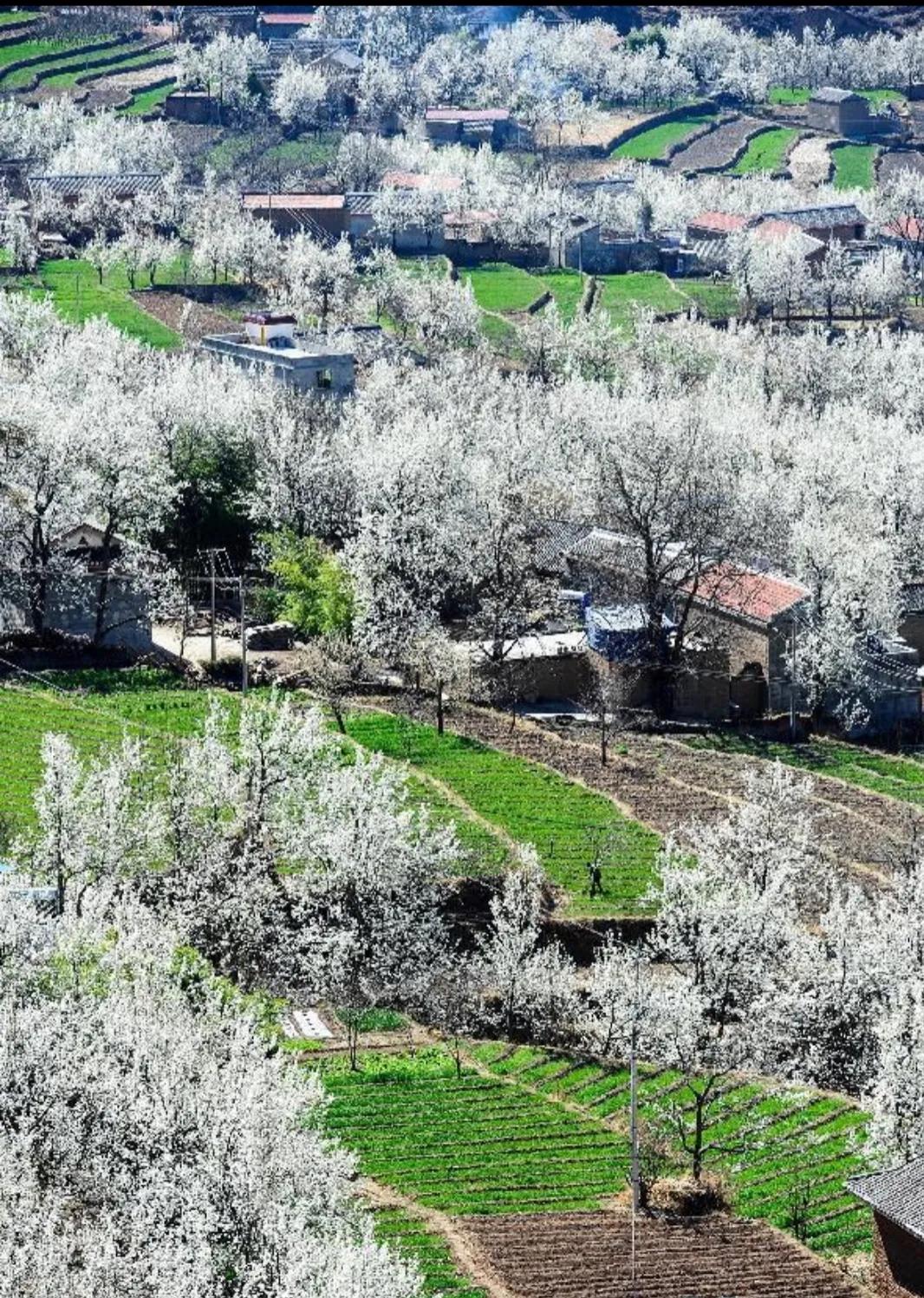 优美耕田诗词,春耕田园唯美诗句