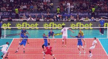 新手为什么不养鳄龟,养了一年的鳄龟怎么一点都不凶