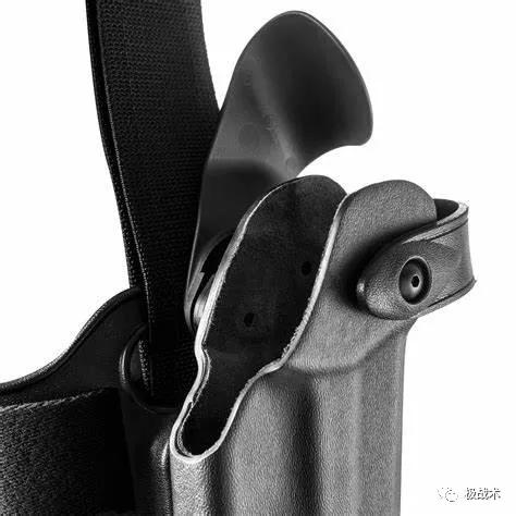 虎年说虎科普视频,虎年说虎运用了哪些说明方法