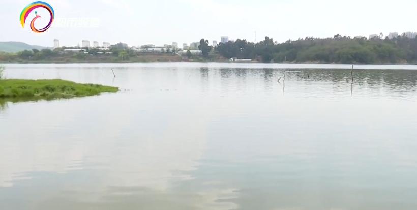 水库鱼死亡原因判断,水库捞鱼死亡水库有责任吗