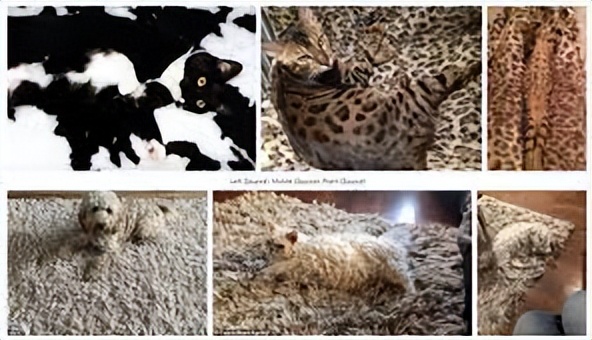 绁炵粡缃戠粶瀛︿範,绁炵粡缃戠粶妯″瀷鏁板寤烘ā