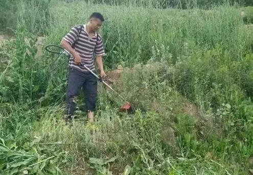 准岳父下跪求他离开女儿，决心创业进深山养鸡16年，带领村民致富