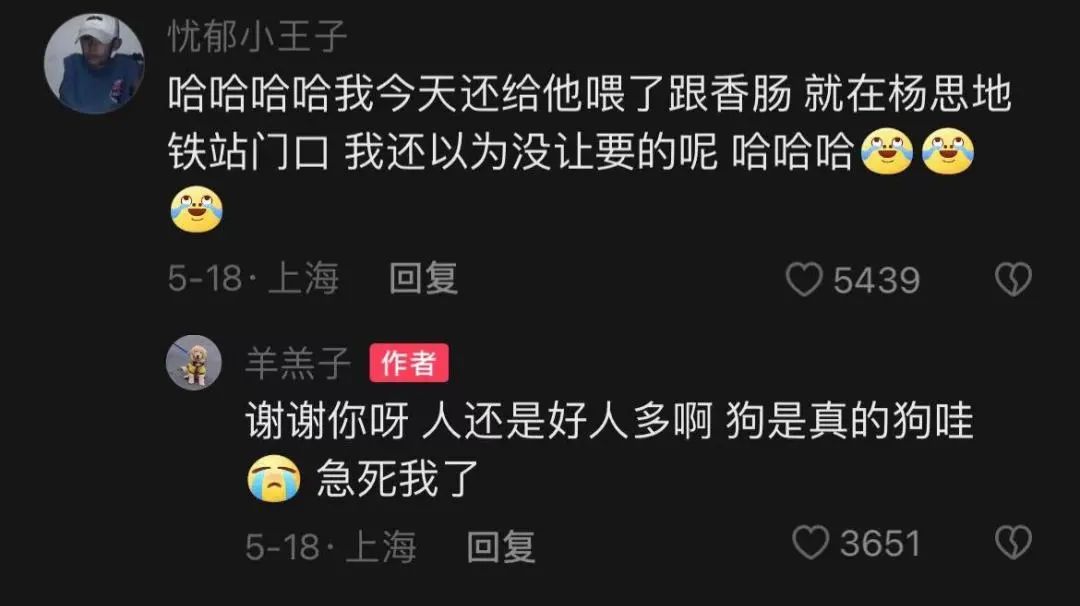 金毛误入地铁站后续,金毛闯地铁