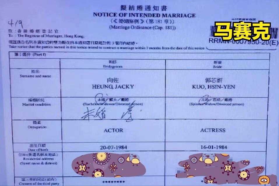 郭碧婷向佐有没有领结婚证,郭碧婷和向佐领了结婚证吗