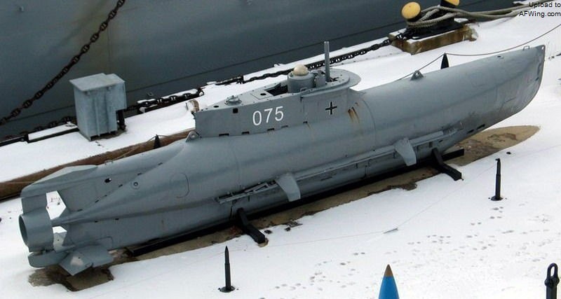 德国海军王牌潜艇,海豹的演化史