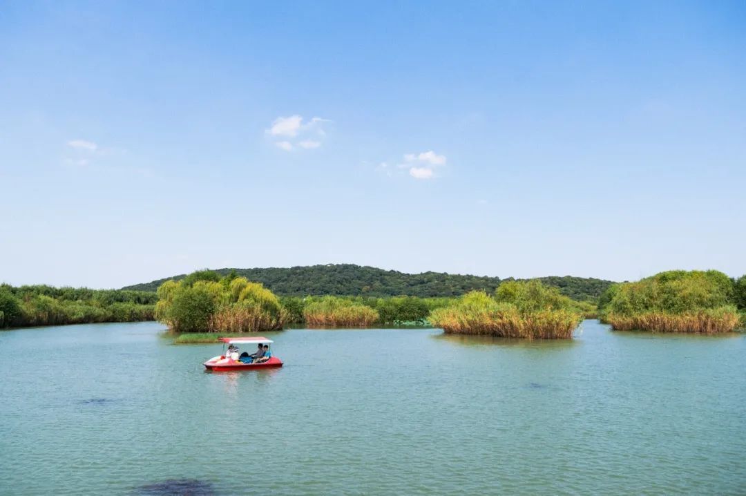 苏州旅游自驾一日游,苏州旅游一日游亲子游
