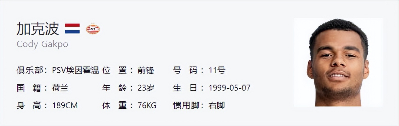 卡塔尔世界杯32强巡礼之埃及,卡塔尔世界杯32强巡礼德国