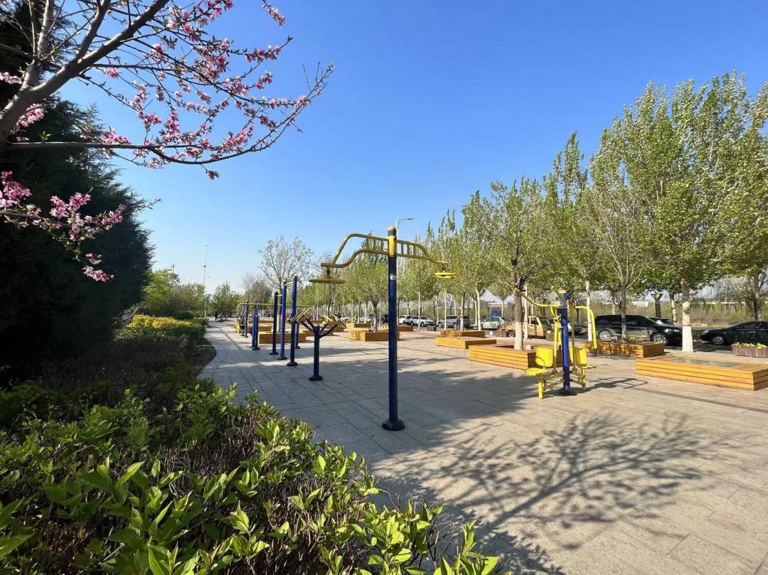 漫步南沙河，又是被“圈粉”的一天