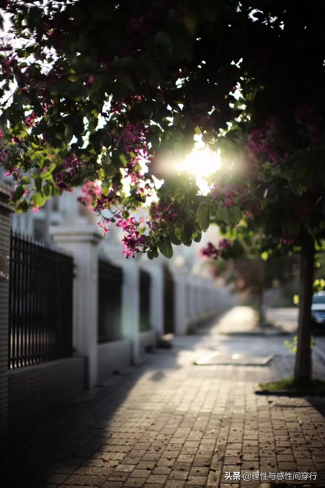 隔海相望，我在这头，静守似水流年，你在那头，淡看烟火人间