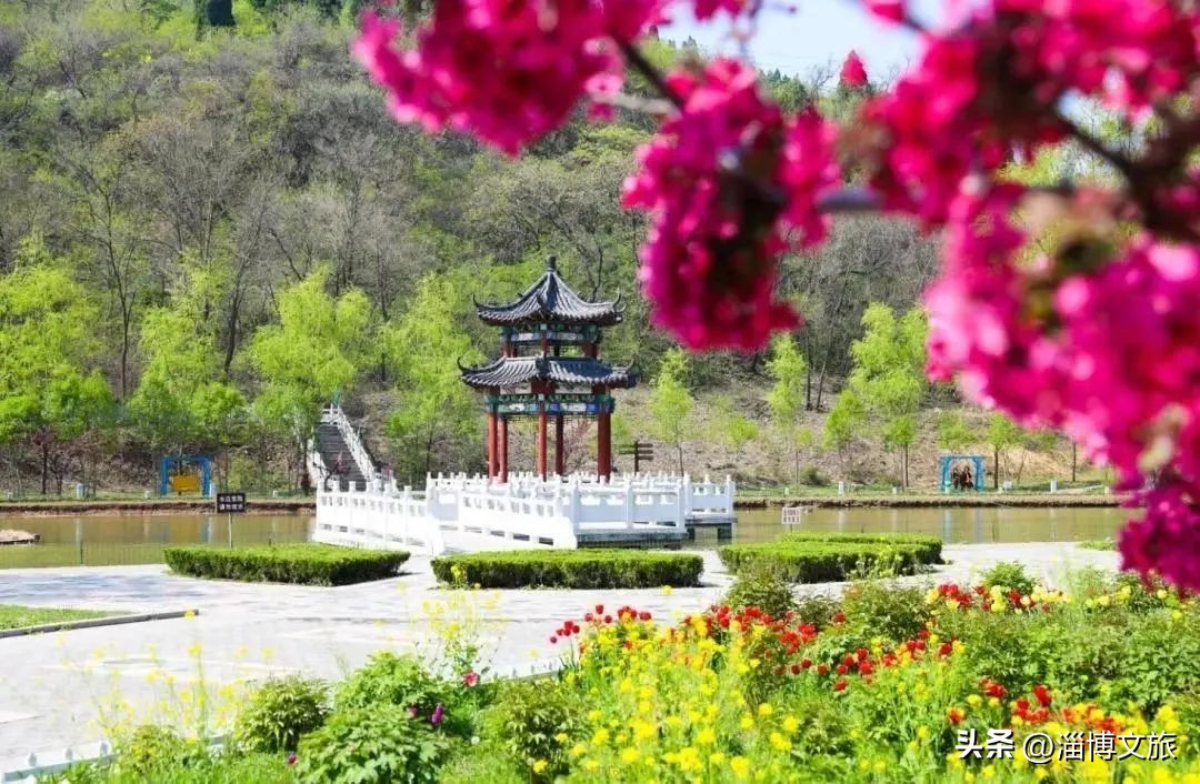 淄博宝藏景点推荐,山东淄博的宝藏