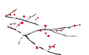 赏城中美景，品厦门味道。城市中心C位酒店，毗邻植物园、中山路